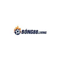 nhacai bong88