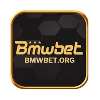 bmwbet org