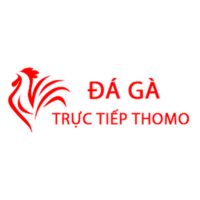Đá Gà Trực Tiếp Thomo Hôm Nay