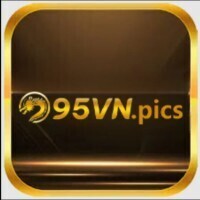 95VN pics