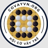 Covayvn org 