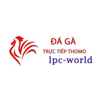 Đá Gà Trực Tiếp  Thomo Hôm Nay
