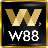 W88 TTNET