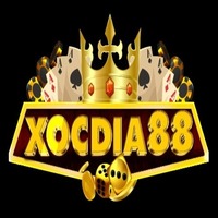 XÓC ĐĨA ONLINE