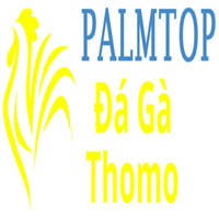 dagapalm top