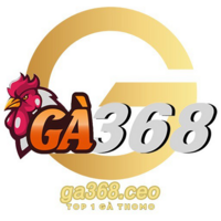 ga368   ceo