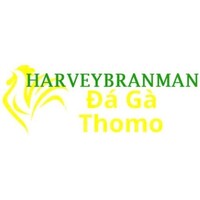  Đá Gà Trực Tiếp  Thomo