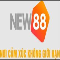 maartg815@gmail.com 