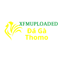 Đá Gà Trực Tiếp  Thomo
