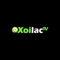 mollysmovement.com fake