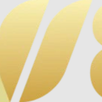 Wi 88