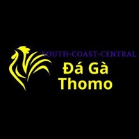  Đá Gà  Trực Tiếp Thomo