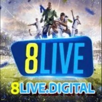 8live digital