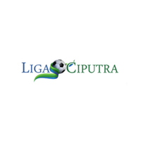 Mengenal  Ligaciputra 
