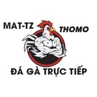 XEM  ĐÁ GÀ TRỰC TIẾP