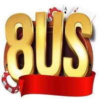 8us io