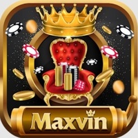 MAXVIN 
