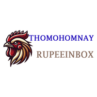 Thomo Hôm Nay 