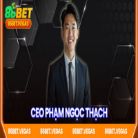 CEO Phạm   Ngọc Thạch