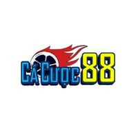 Trang cá độ bóng đá