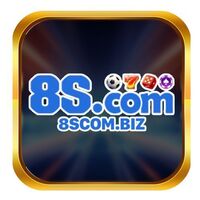 8S COMBIZ