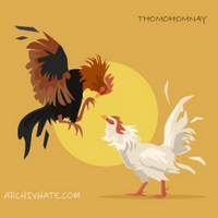 thomohomnay arc