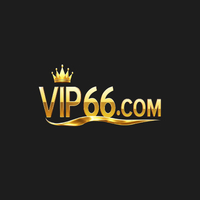  VIP66