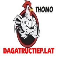 Đá Gà Trực Tiếp