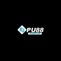 PU88  VIN