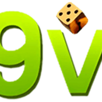69vn hyatt