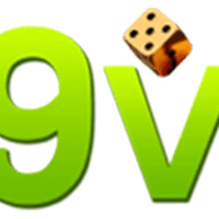 69vn98 com