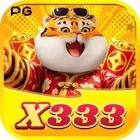 x333 itcom