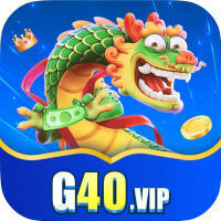 G40 VIP 