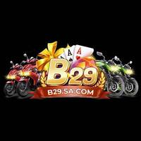 B29 sa