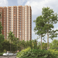 Purva  Northernlights