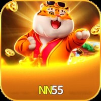 NN55 