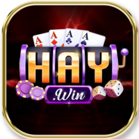 Haywin1 marketing