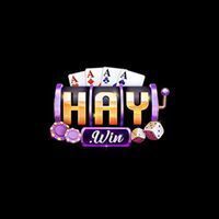 HAYWIN army