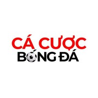 Top Web Cá Cược Bóng Đá  An Toàn, Bảo Mật Nhất 2026 
