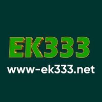 E K333