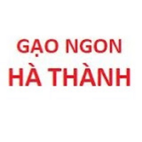 Gạo ST25 Ông Cua Lúa Tôm 5kg