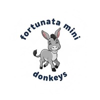 Fortunata Mini Donkeys 