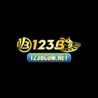 123Bcom  net
