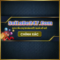 Soi  Cầu 247