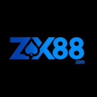 ZX88 Nền tảng