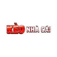 CEO Mai Anh Tai