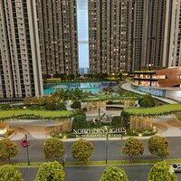 Purva  Northern Lights