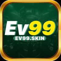 EV99 SKIN