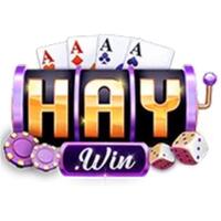 haywin fast