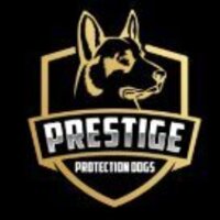 Prestige Protection  Dogs